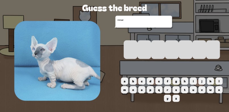 Meow – screenshot 2