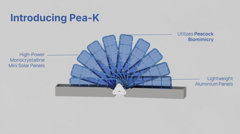 Pea-K Power – screenshot 1