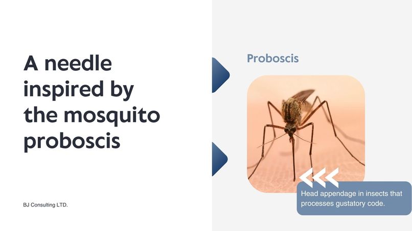 Proboscis Needle – screenshot 5