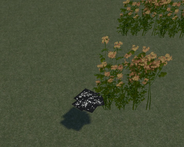 Environmental Simulation Project – screenshot 2