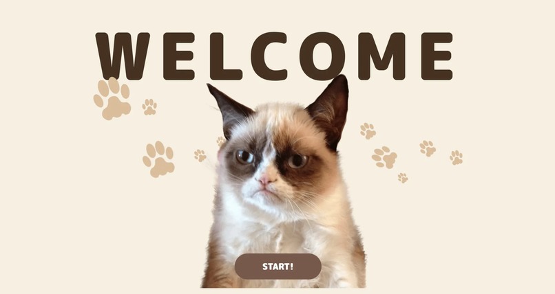 Pretty Kitty – screenshot 1