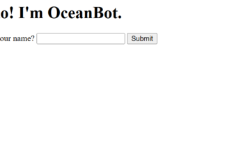 Ocean Bot