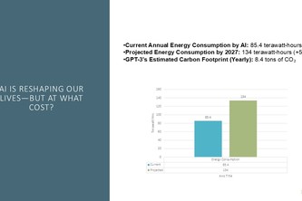 Monitoring API Consumption for LLM Sustainability Data