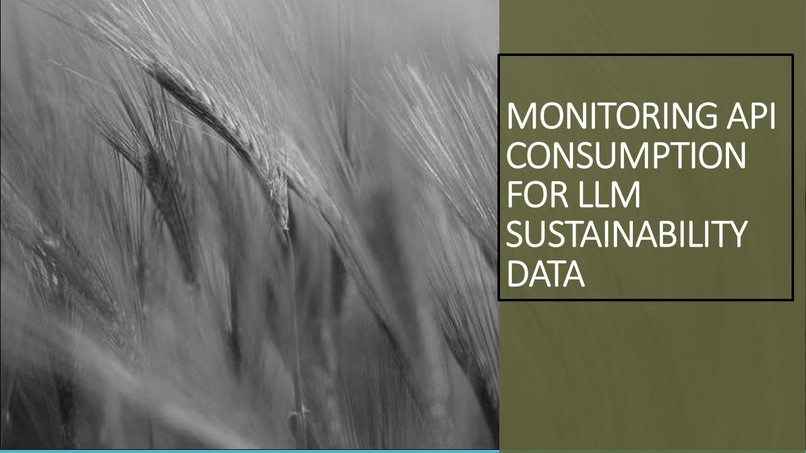Monitoring API Consumption for LLM Sustainability Data – screenshot 3