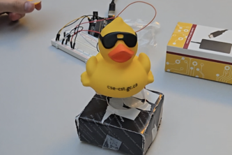 DebuggyDucky
