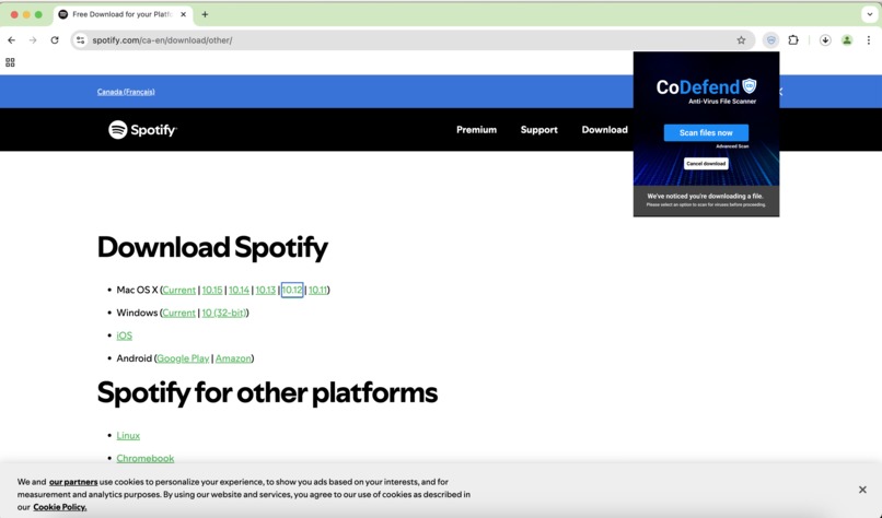 CoDefend - Decentralized Malware Analysis Chrome Extension – screenshot 2
