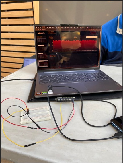 MemViz – screenshot 5