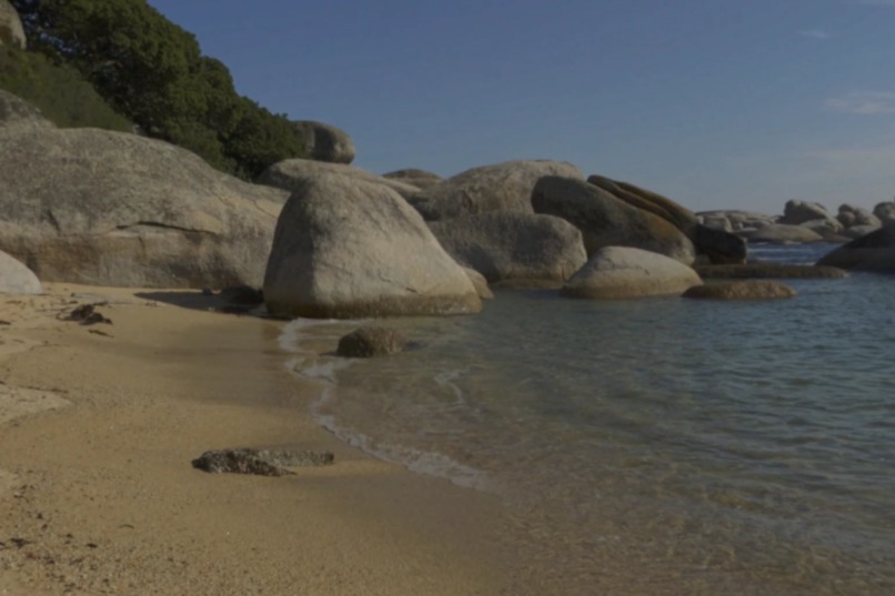 Vision World – screenshot 3