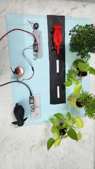 SafeCross – screenshot 2