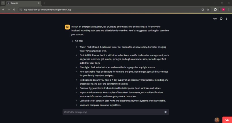 ReadySetGo - Packing For Survival, Simplified – screenshot 2