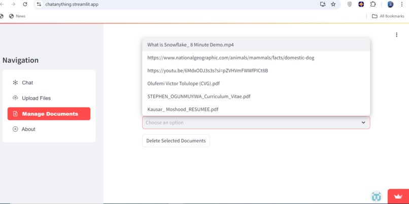 Chat Anything – screenshot 2
