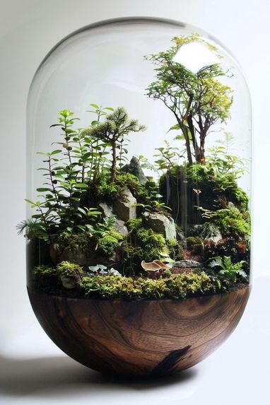 EcoSphere – screenshot 1