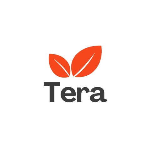 TERA – screenshot 1