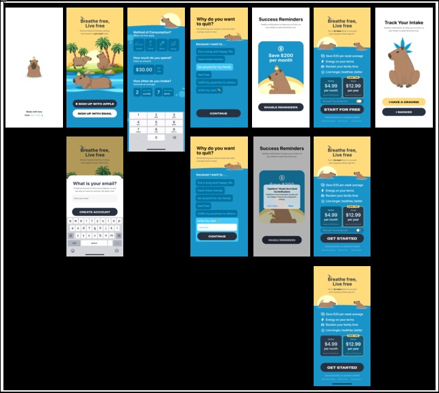 Zencara | Mobile App Product Design – screenshot 2