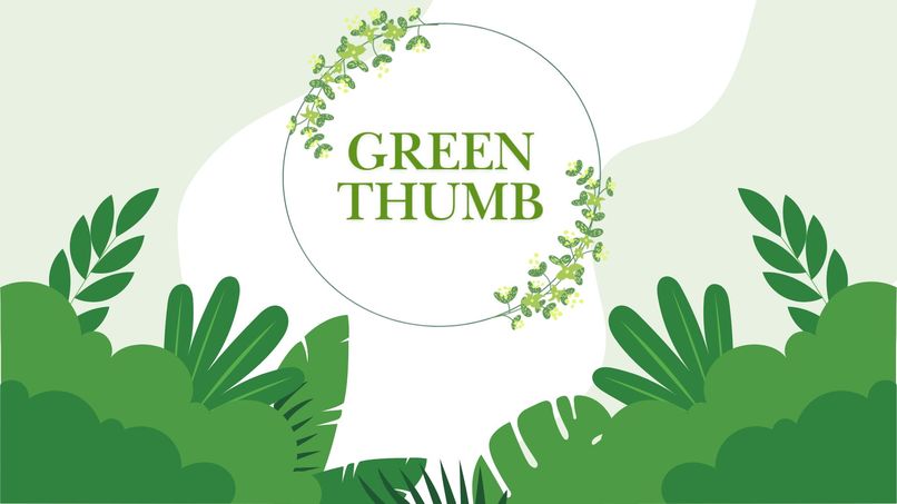 GreenThumb – screenshot 1