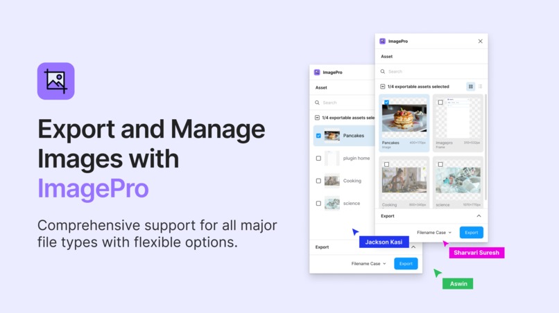 ImagePro Export – screenshot 1