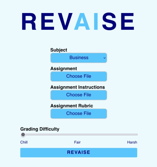 REVAISE.co – screenshot 2