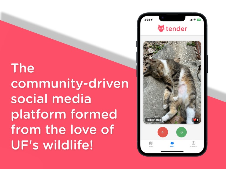 tender – screenshot 1