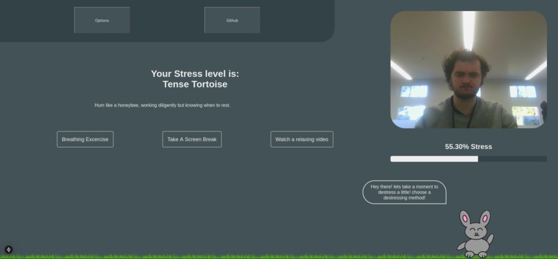 Steve the destressing bunny – screenshot 1