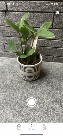 29-Plantid – screenshot 2