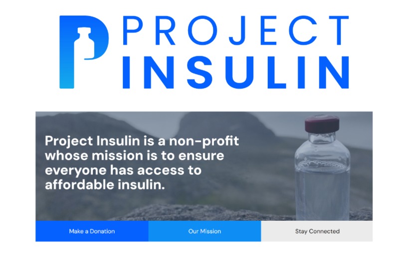 Marketing Strategy - Project Insulin – screenshot 3