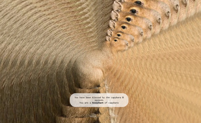 Capybara Blessings – screenshot 1