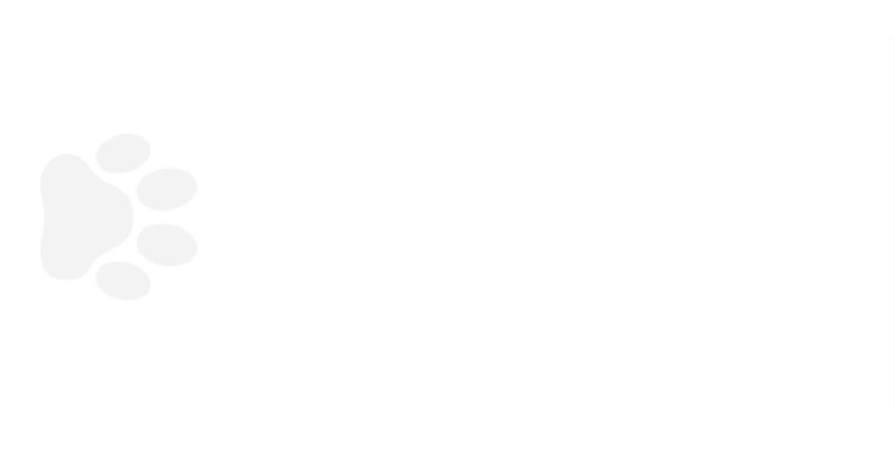 In their paws – screenshot 1