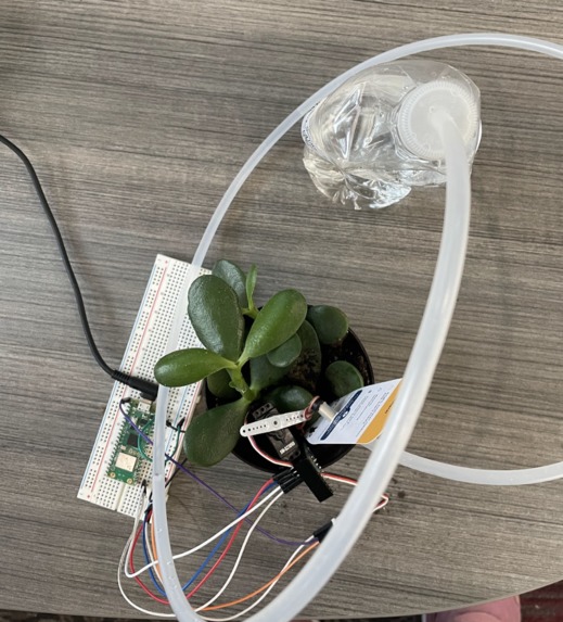 HackPlant – screenshot 2