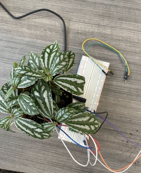 HackPlant – screenshot 3