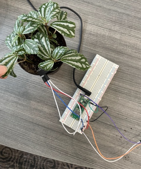 HackPlant – screenshot 4