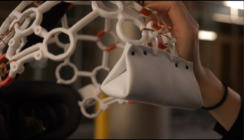 OpenGalea – screenshot 6