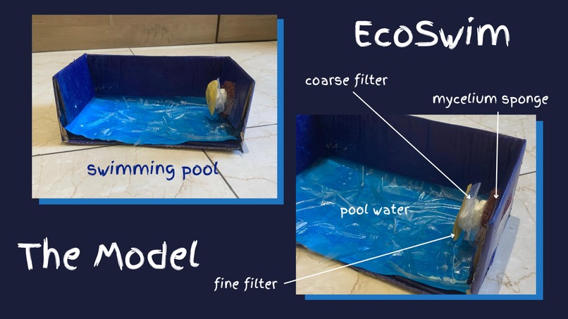 EcoSwim: Elevating Pool Care – screenshot 1