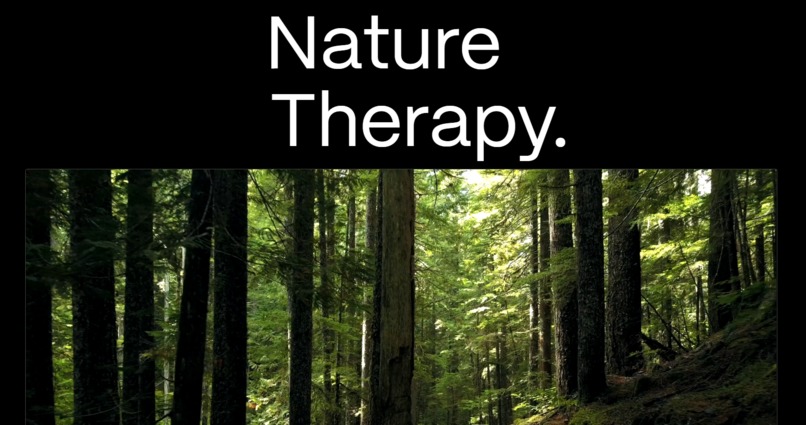 EcoEmbrace  – screenshot 1