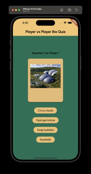 MnemoPlay – screenshot 2