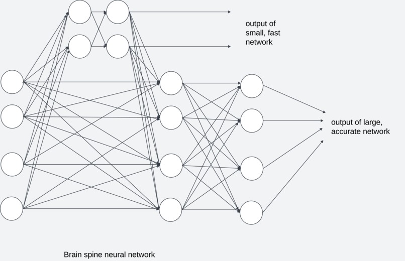 Brain Spine Neural Network – screenshot 1