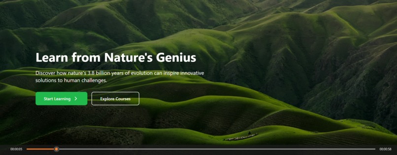 Biomimicry-E-Learning – screenshot 1