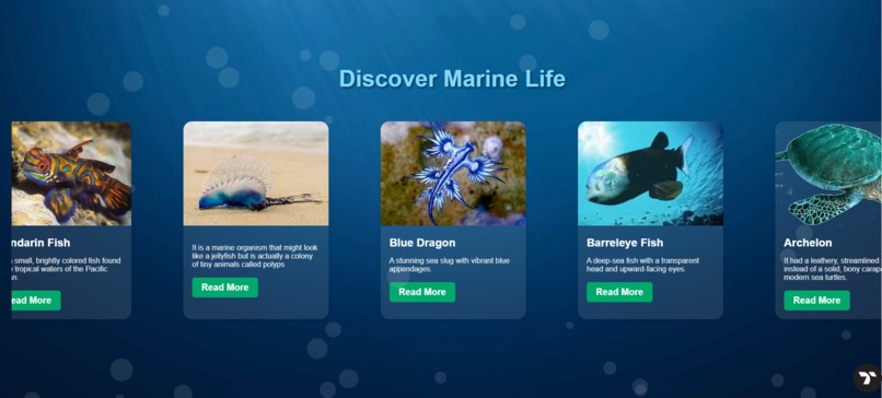 Marine Minds – screenshot 8