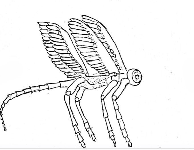 AeroMorph – screenshot 1