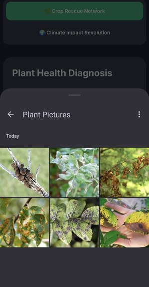 EcoHealth Pro – screenshot 2