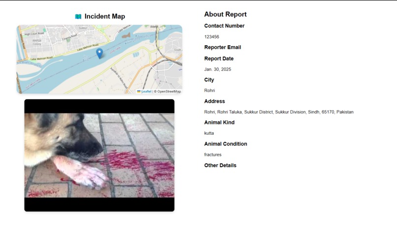 PawsomeRescue – screenshot 5