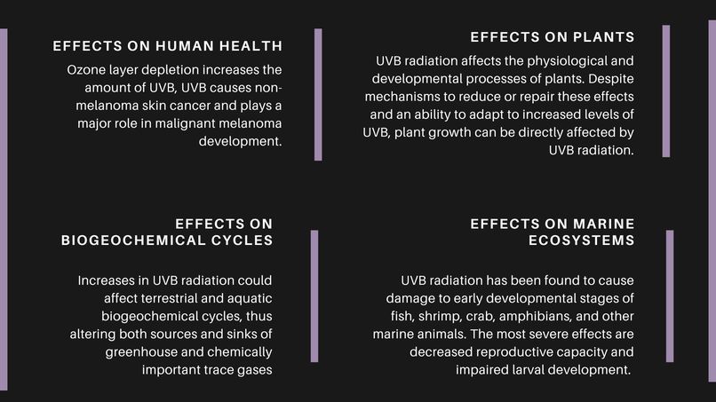 Nova – screenshot 8