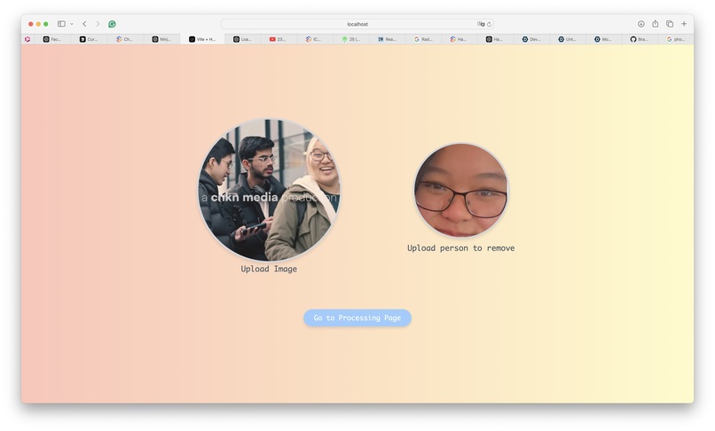 Bluree: Automated Privacy Protection for Photos – screenshot 3