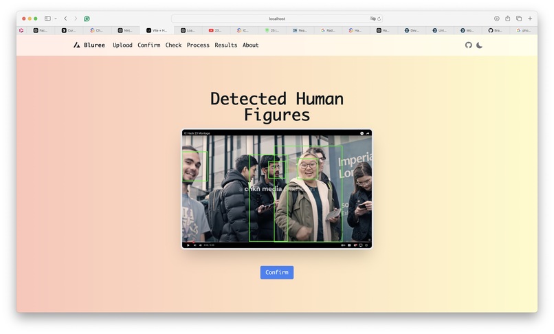 Bluree: Automated Privacy Protection for Photos – screenshot 4