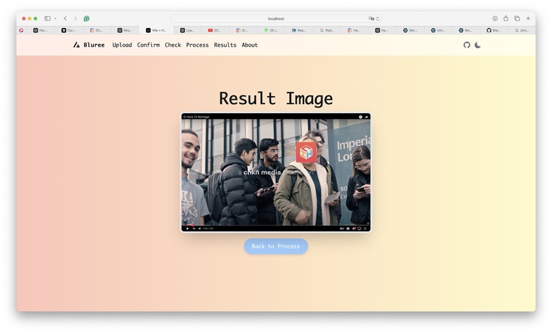 Bluree: Automated Privacy Protection for Photos – screenshot 5