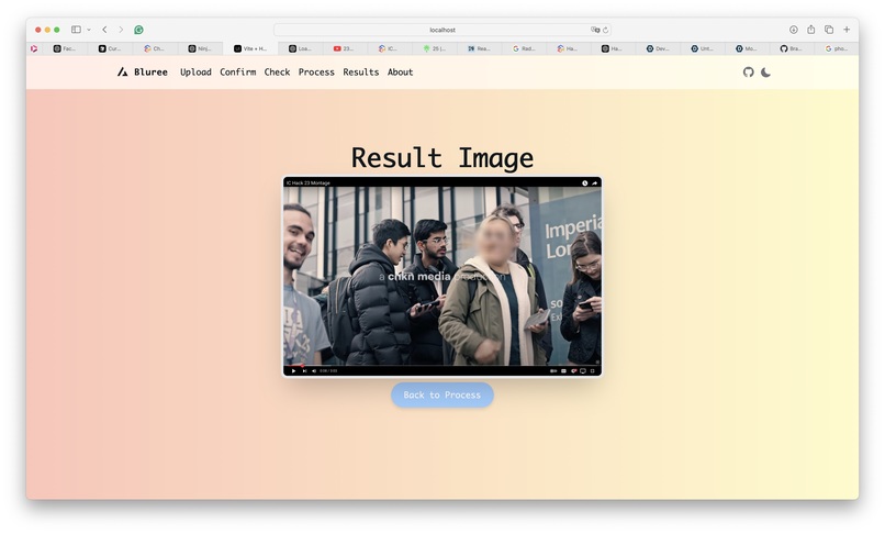Bluree: Automated Privacy Protection for Photos – screenshot 6