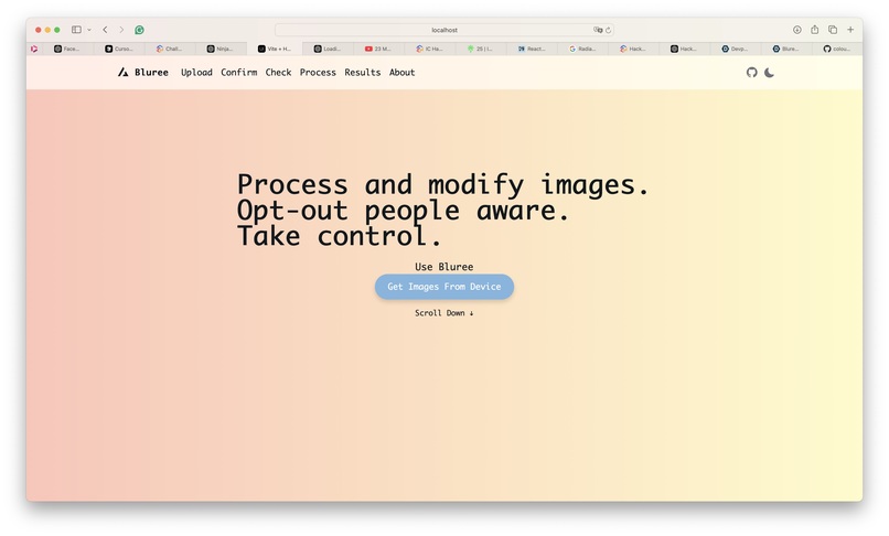 Bluree: Automated Privacy Protection for Photos – screenshot 2