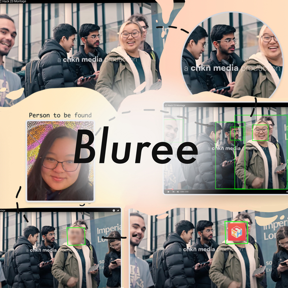 Bluree: Automated Privacy Protection for Photos – screenshot 1