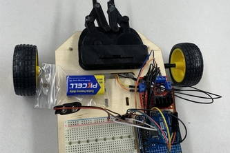 Gertrude Bertha Ginsberg