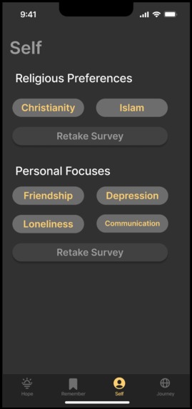 NorthStar – screenshot 9