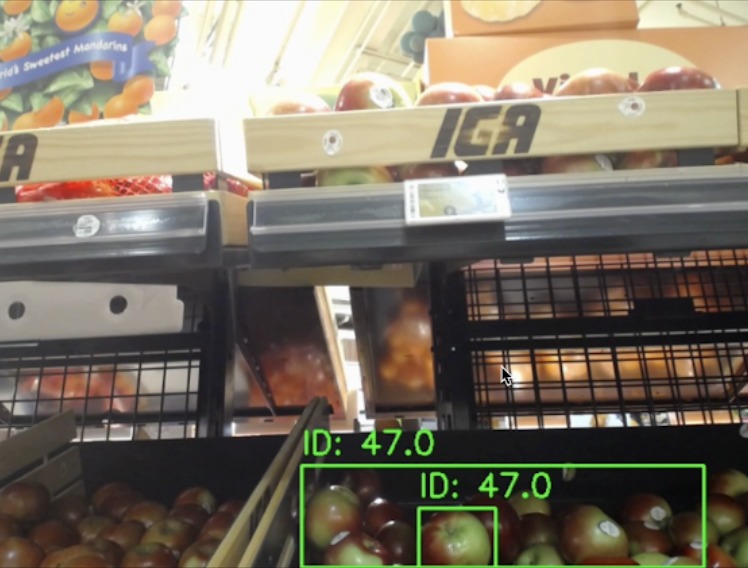 Scout – screenshot 6